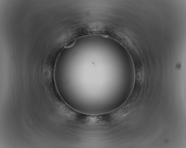 X0000096970662200802151309