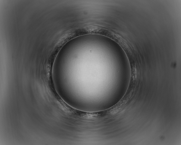 X0000096970664200802151309