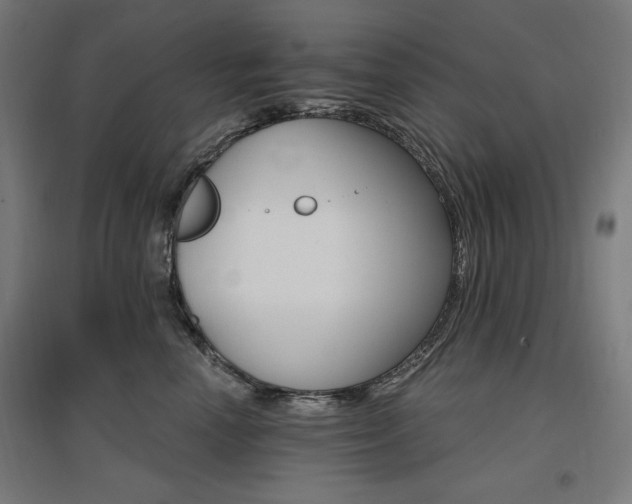 X0000096970666200802151310