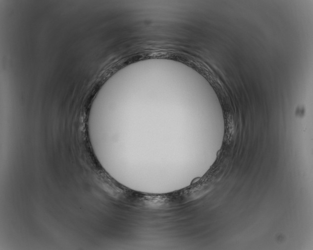 X0000096970667200802151310