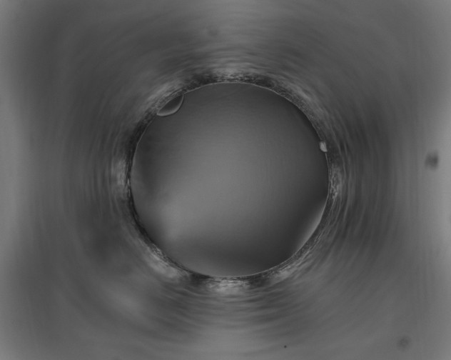X0000096970670200802151310