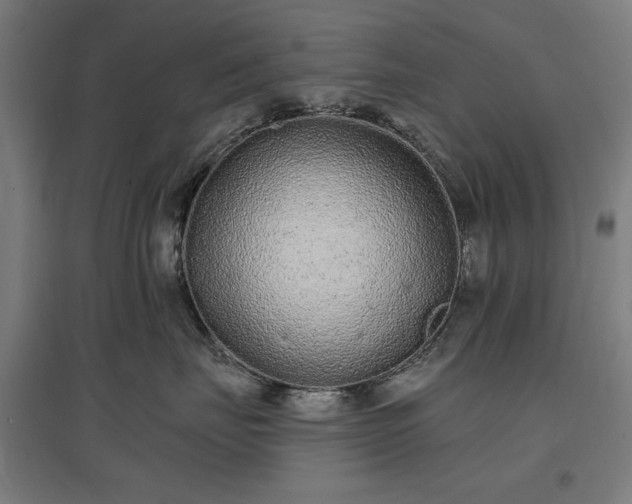 X0000096970671200802151310