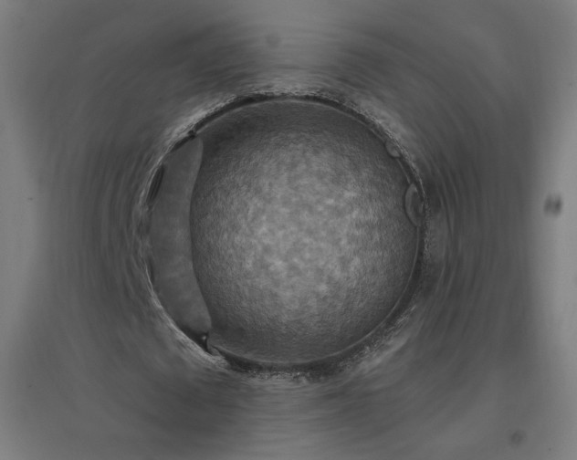 X0000096970673200802151309