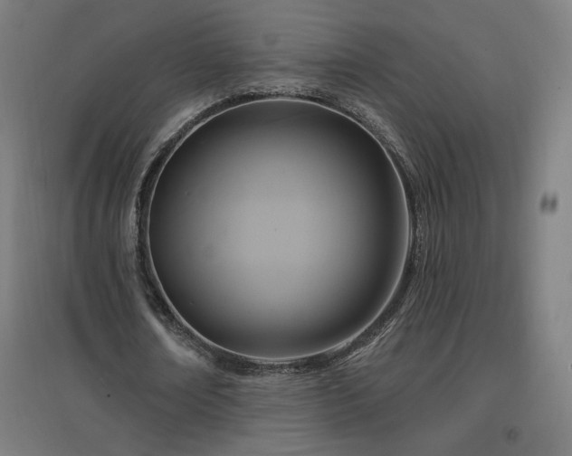 X0000096970674200802151309