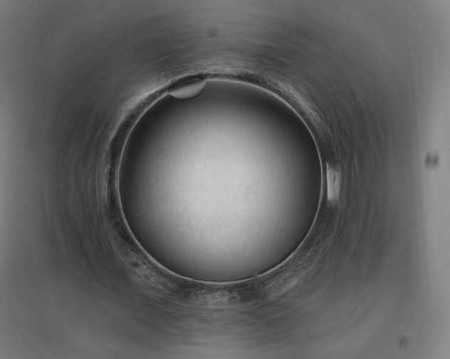 X0000096970675200802151309
