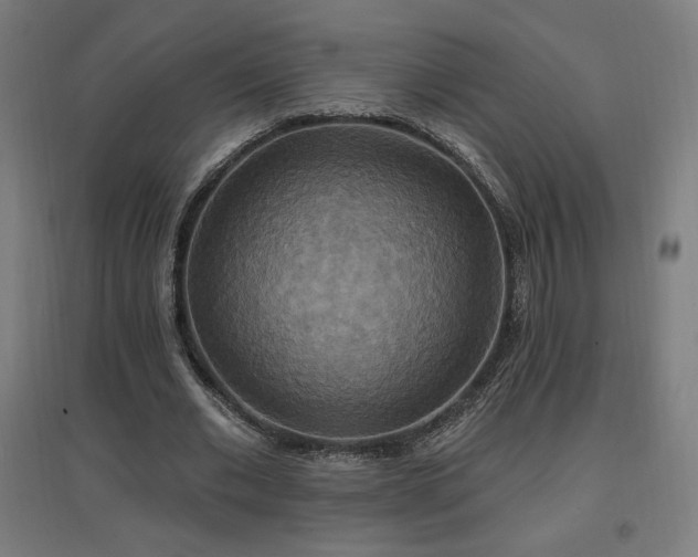 X0000096970677200802151309