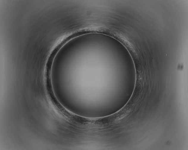 X0000096970678200802151309