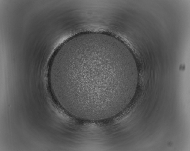 X0000096970679200802151309