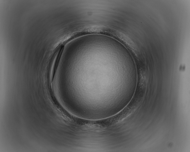 X0000096970681200802151309
