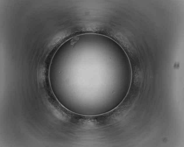 X0000096970683200802151309