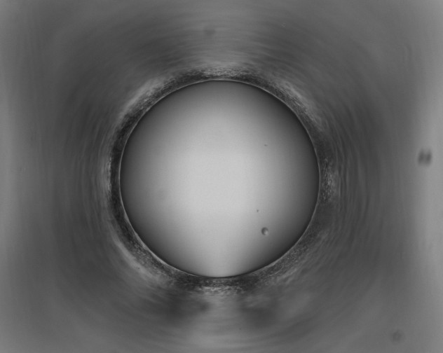 X0000096970686200802151309
