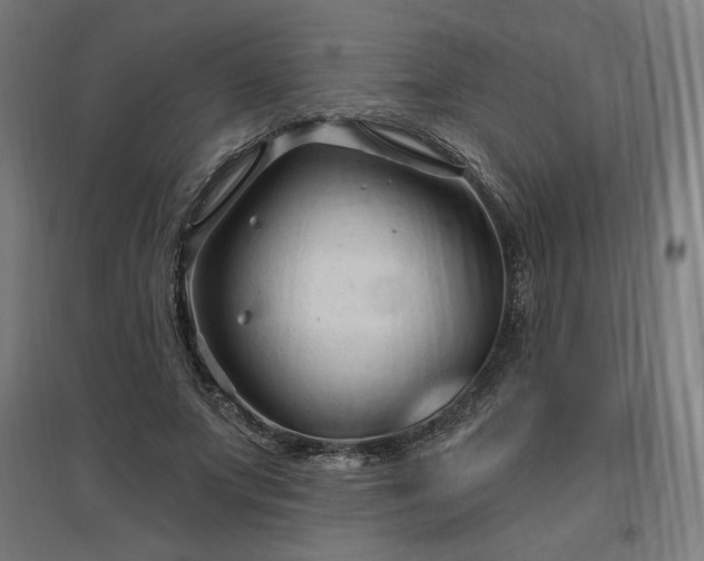 X0000096970687200802151309