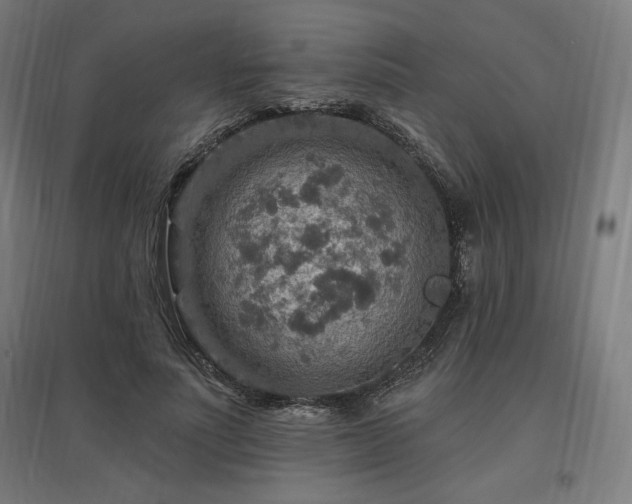X0000096970691200802151309