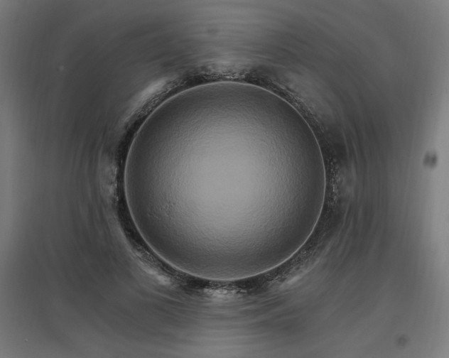 X0000096970693200802151309