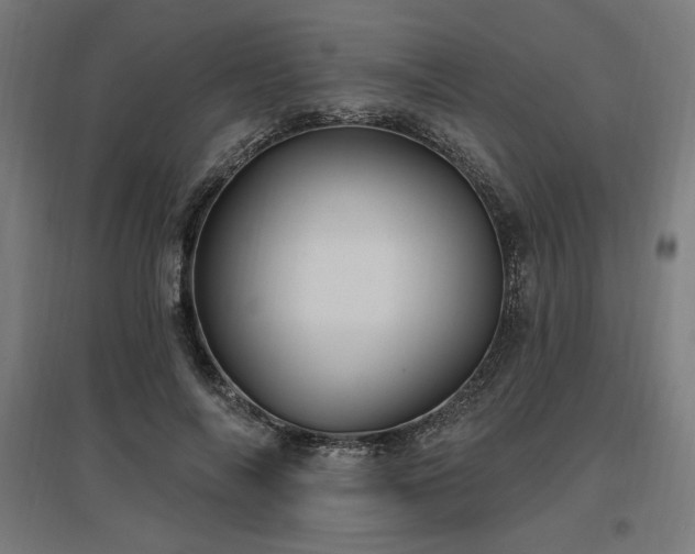 X0000096970694200802151309