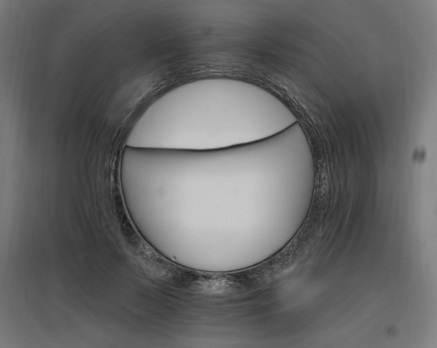 X0000096970695200802151309