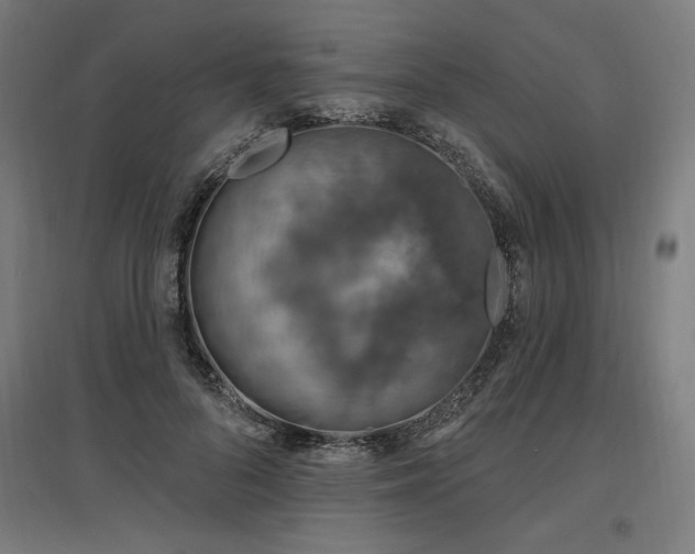 X0000096970696200802151309