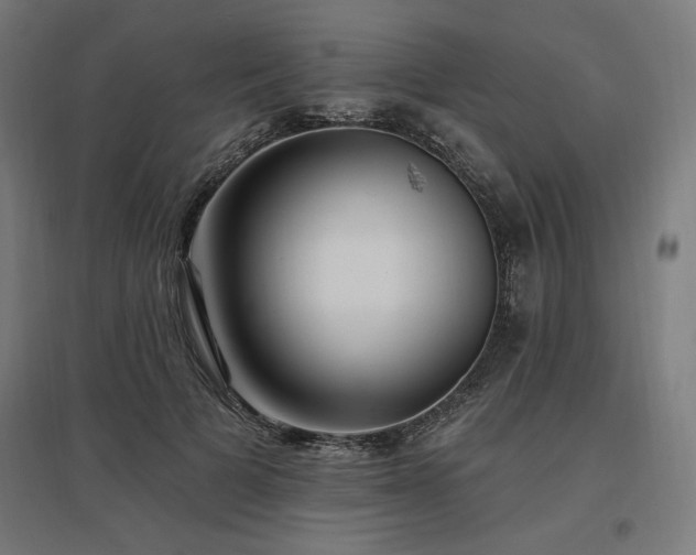 X0000096970697200802151309