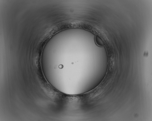 X0000096970698200802151309