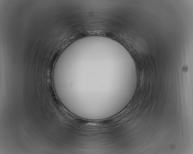 X0000096970699200802151309