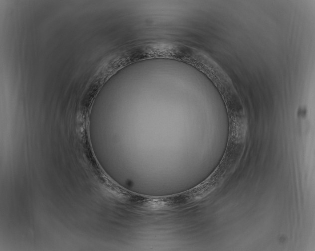 X0000096970701200802151309