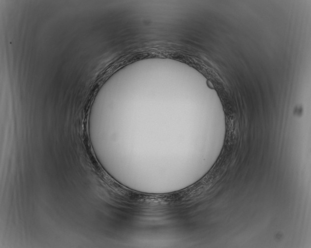 X0000096970702200802151309