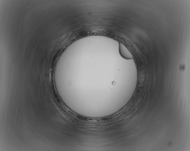X0000096970703200802151309