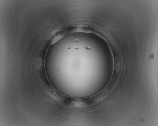 X0000096970704200802151309