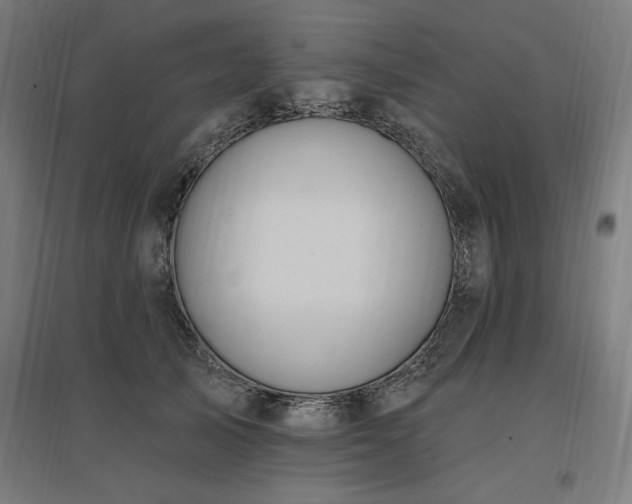 X0000096970705200802151308