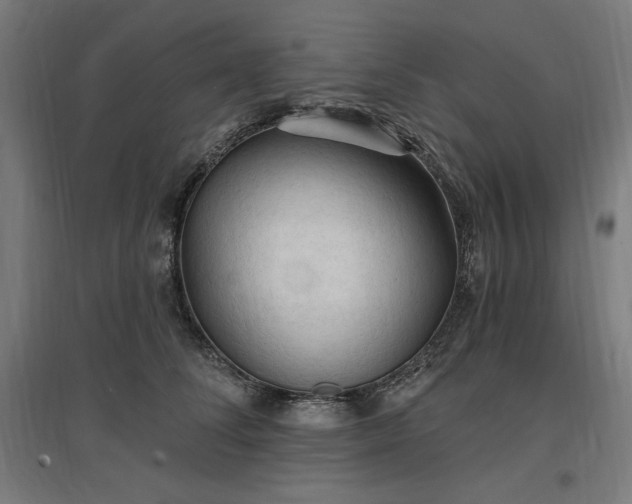 X0000096970708200802151308