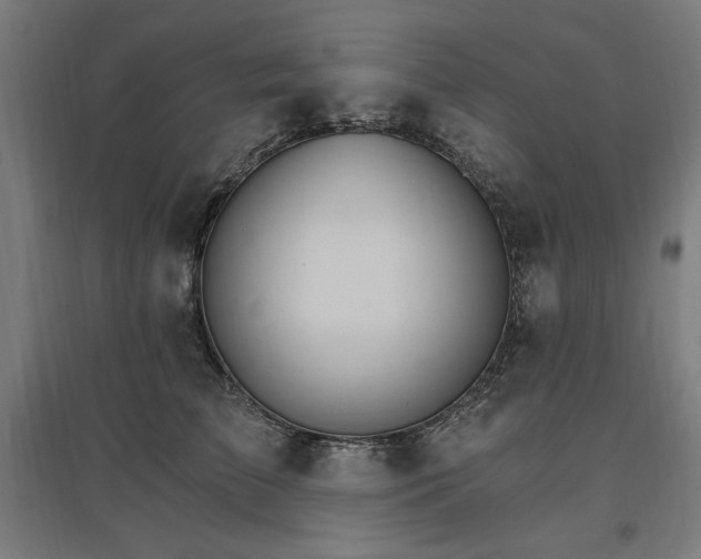 X0000096970709200802151308