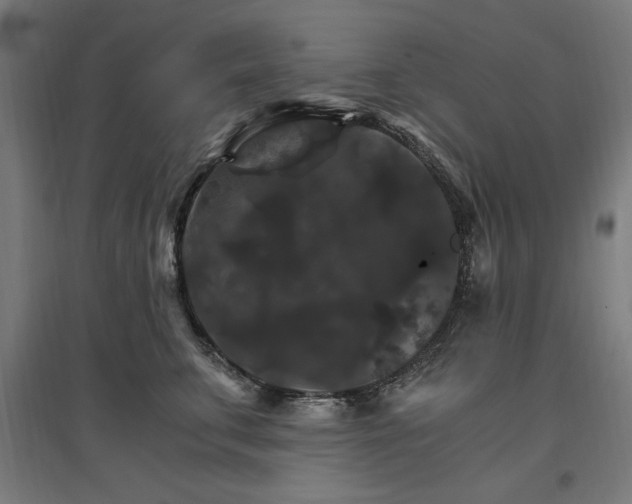 X0000096970711200802151308