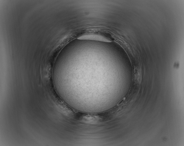 X0000096970712200802151308