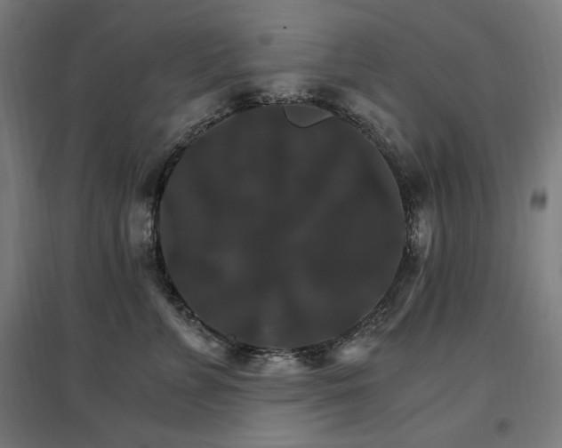 X0000096970715200802151308