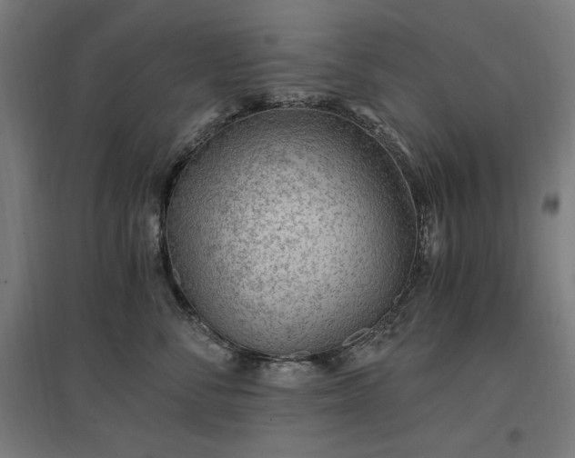 X0000096970716200802151308