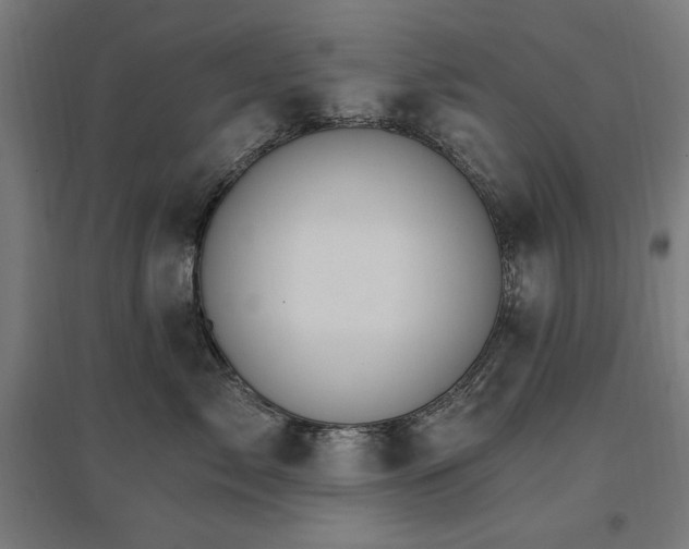 X0000096970717200802151308