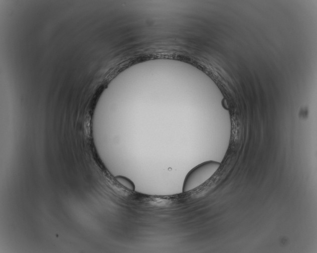 X0000096970718200802151308
