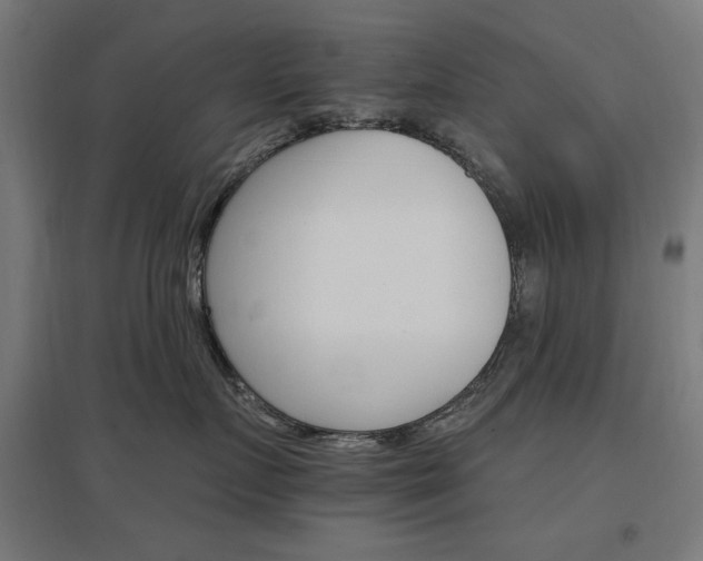X0000096970719200802151308