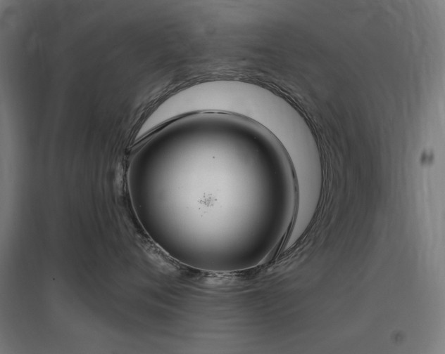 X0000096970720200802151308