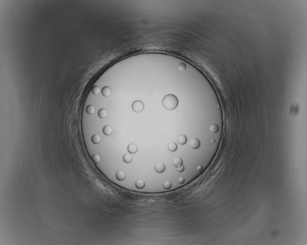 X0000096970721200802151308