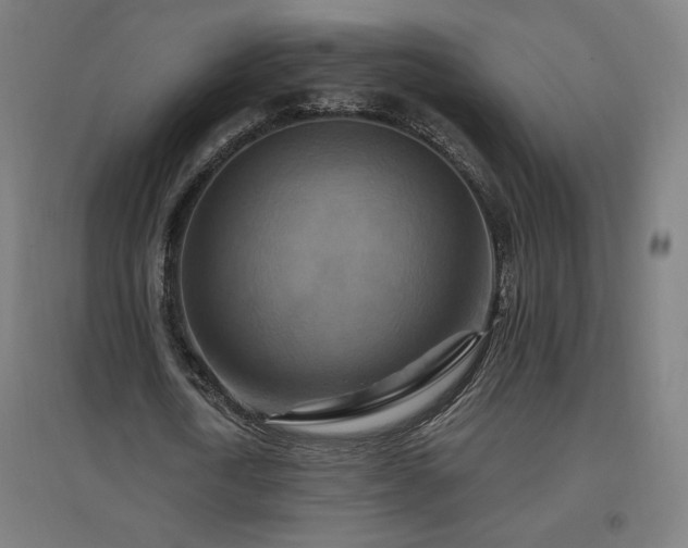 X0000096970722200802151308