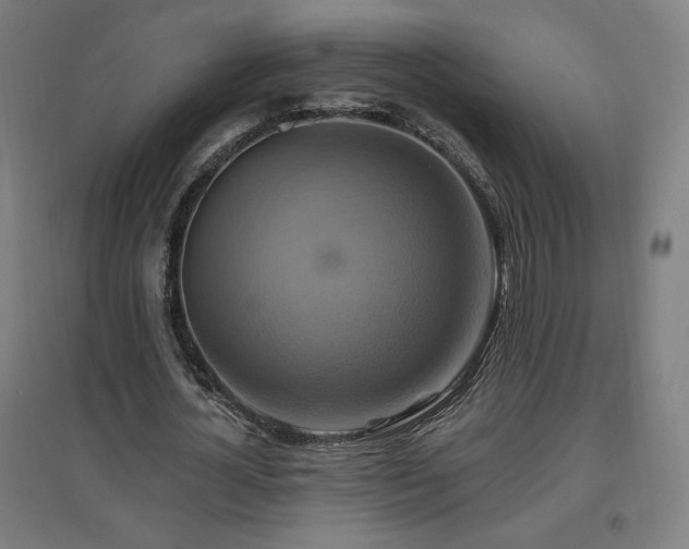 X0000096970724200802151308