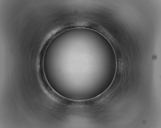 X0000096970726200802151308
