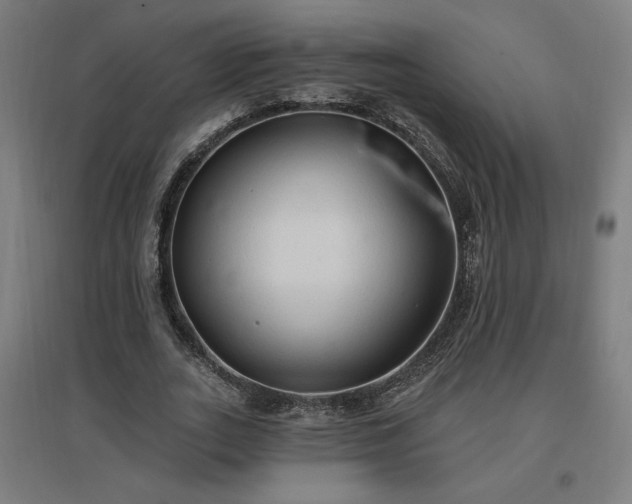 X0000096970727200802151308