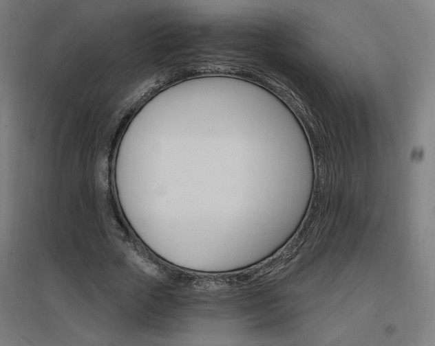 X0000096970729200802151308
