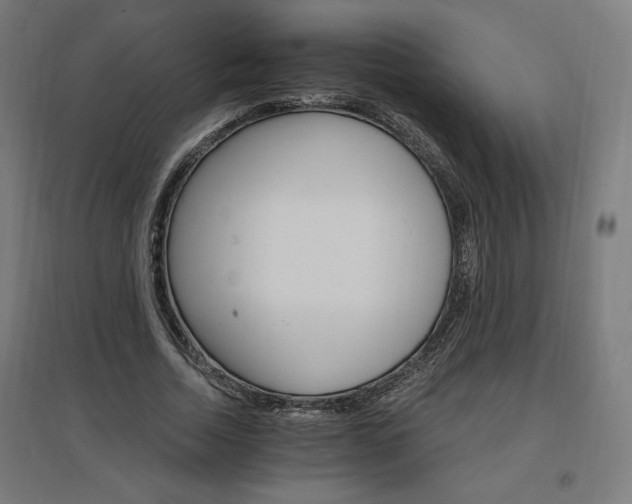 X0000096970730200802151308
