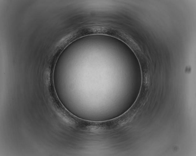 X0000096970733200802151308