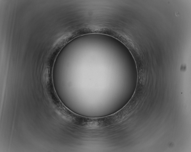 X0000096970740200802151308