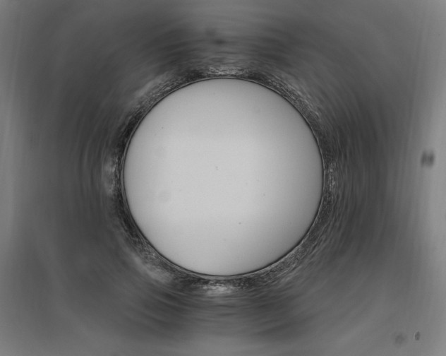 X0000096970741200802151308