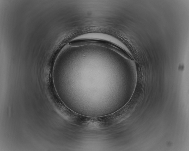 X0000096970742200802151308